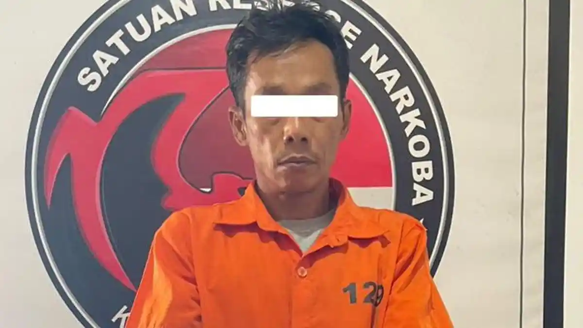 Buron 3 Tahun, Pengendali Narkoba di Bengkalis Ditangkap Satres Narkoba Polres Bengkalis - Tribunpekanbaru.com