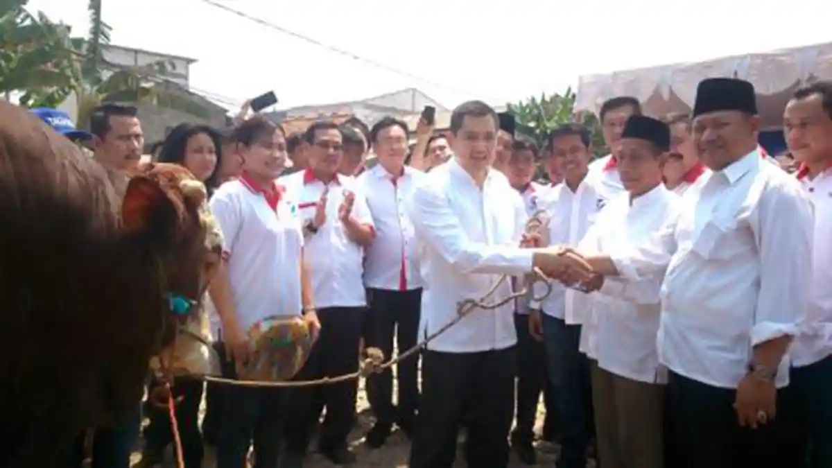 Perindo Sumbangkan Sapi Limosin untuk Warga Rawa Buaya