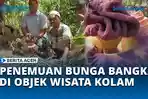 VIDEO Penemuan Bunga Bangkai di Objek Wisata Kolam Ratu Lembong Subulussalam Timur