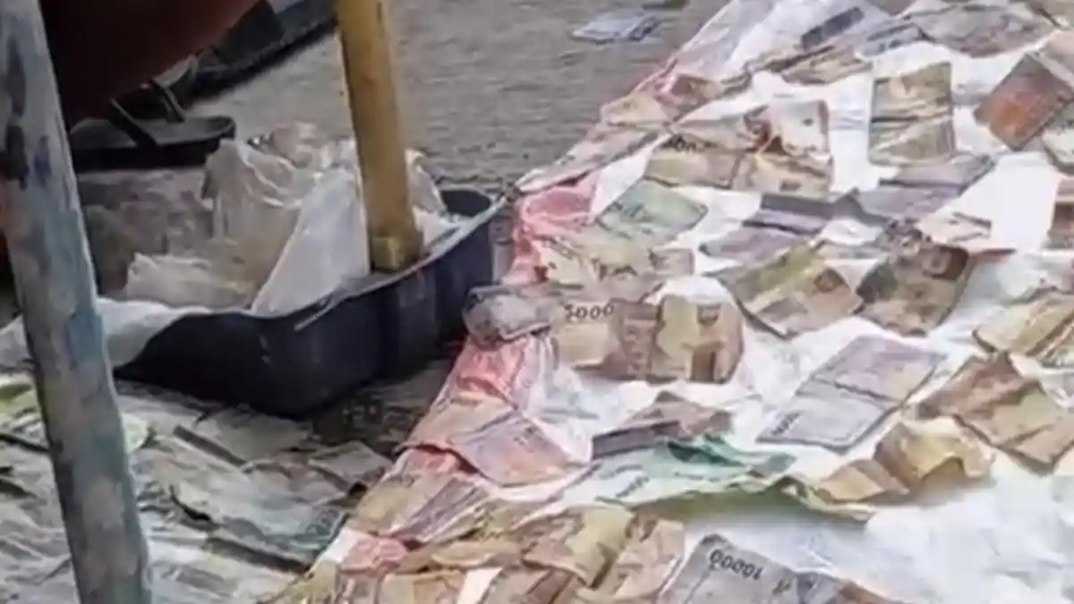 Viral Warga Pati Temukan Uang Dibungkus Plastik di Kali, Berikut Pengkuan Romdloni