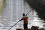 Petugas PPSU Membersihkan Sampah Sungai Cengkareng Jakarta