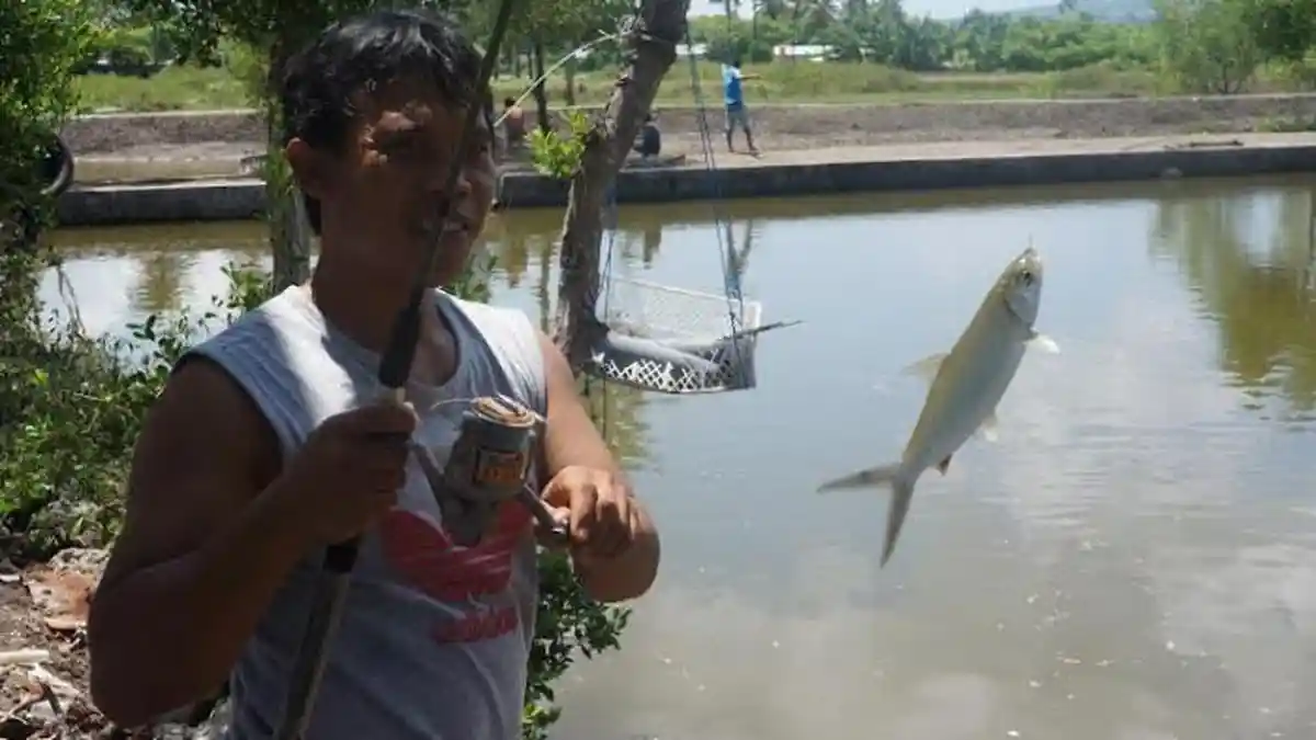 Memancing Asyik di Kampung Tambak Garam di Maumere - pancing-ikan_20160117_235825.jpg