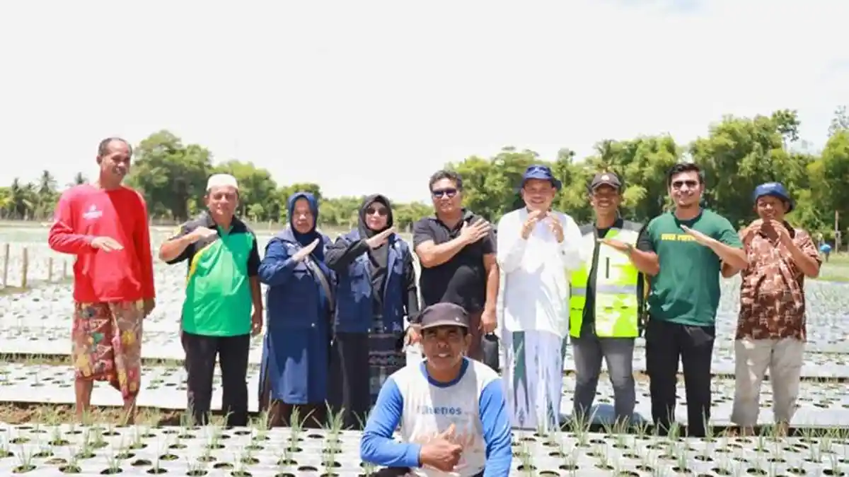 Pj Bupati Pidie Tinjau Penanaman Bawang Merah di Simpang Tiga