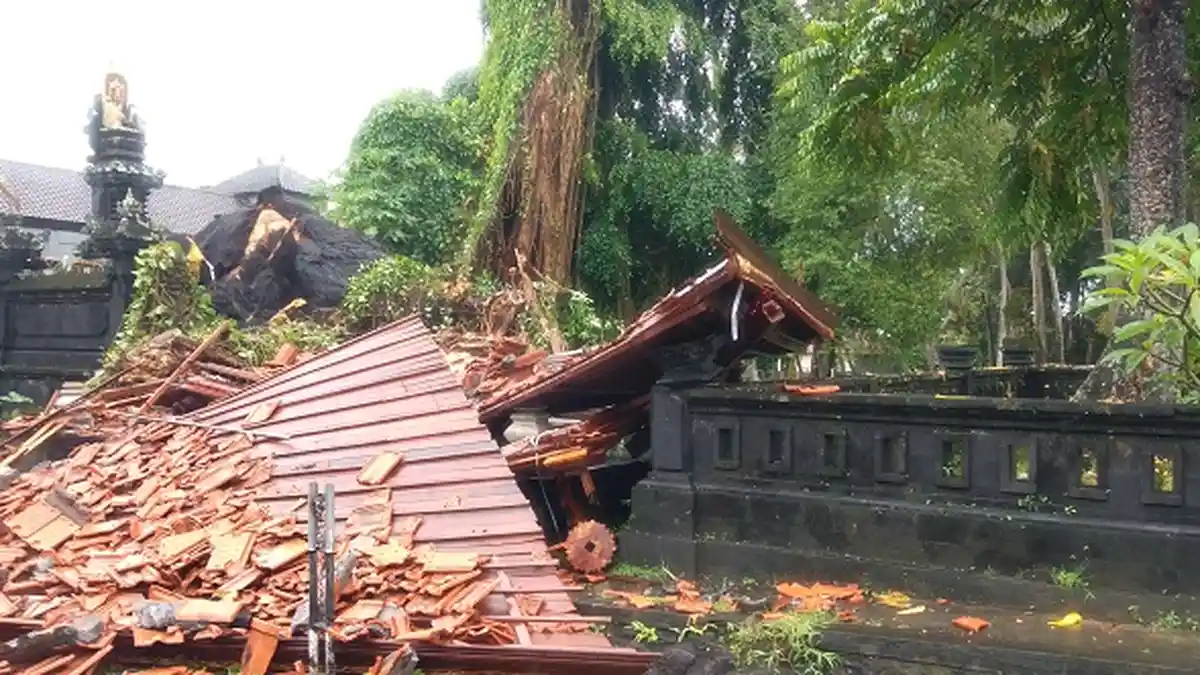 BREAKING NEWS - Pohon Tumbang Rusak Pura Prajapati di Ubud Gianyar