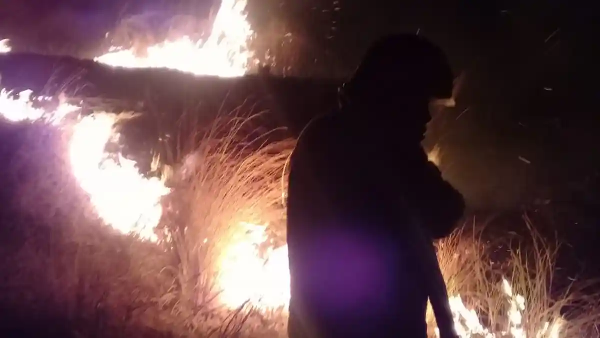 Warga Digegerkan Dengan Kebakaran Lahan Malam Dini Hari