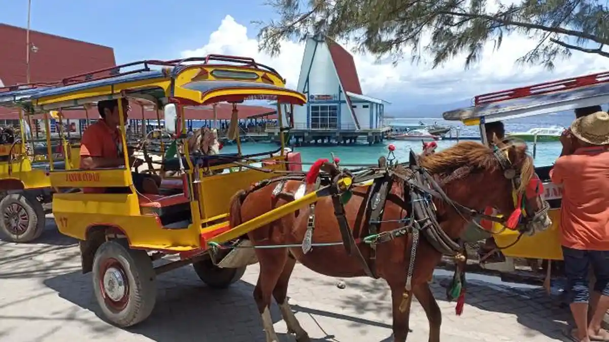 Cidomo Gili Trawangan Mulai Ditinggalkan Wisatawan karena Sepeda dan Motor Listrik Menjamur?