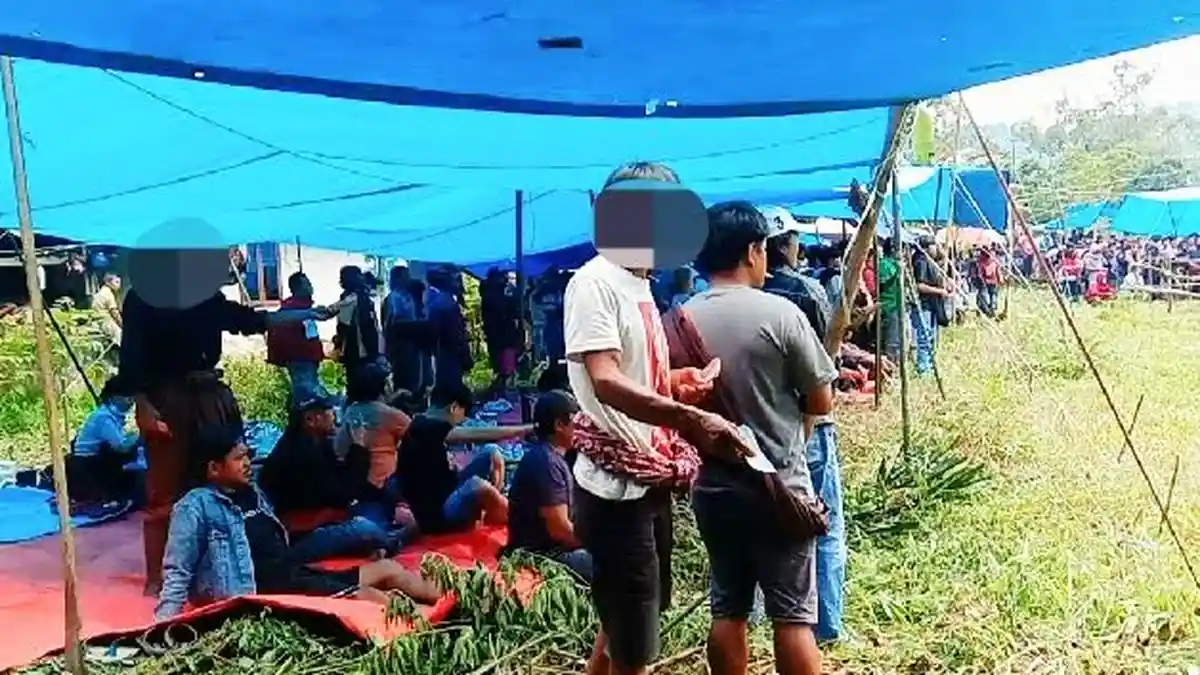 Bebaskan 3 Terduga Pelaku Sabung Ayam di Toraja, Ipda Syamza: Mereka Belum Melakukan Permainan