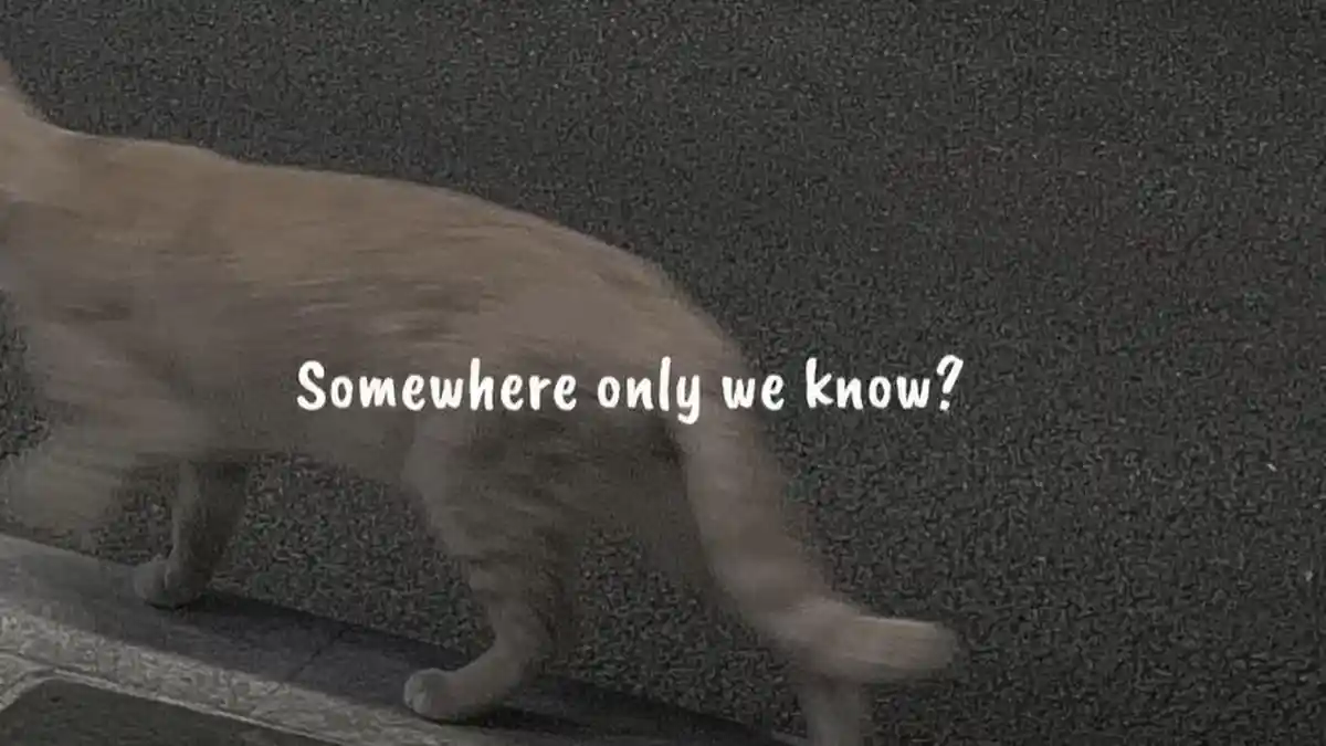 Arti Lagu Somewhere Only We Know Keane, Lirik: This Could Be The End of Everything