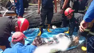 Satu-orang-meninggal-dunia-dalam-insiden-kebakaran-rumah-di-Tapango-Barat-Polman.jpg