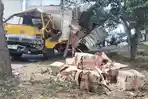 Kondisi-truk-box-bermuatan-makanan-ringan-setelah-menghantam-pohon-di-jalur-pantura-Probolinggo.jpg