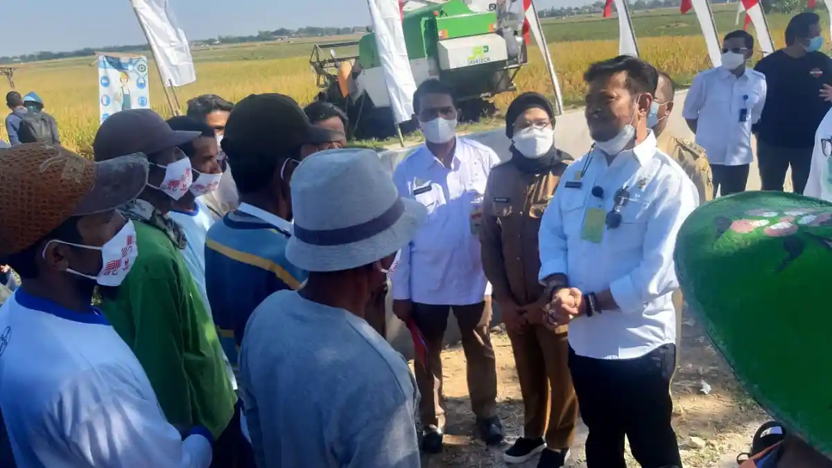 Sepanjang Tahun 2021, NTP Stabil Tinggi Tanda Kesejahteraan Petani Membaik