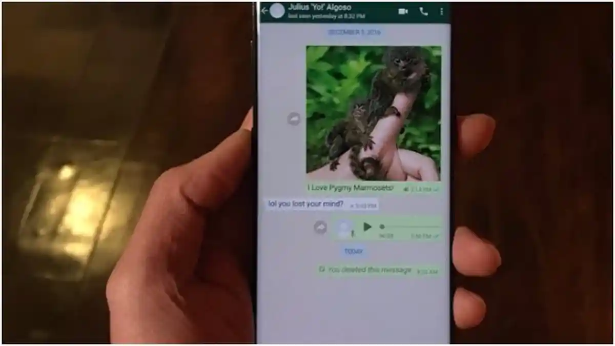 Jangan Sampai 'Salah Kamar', Hapus Pesan di WhatsApp Ternyata Bisa Tetap Muncul Lho