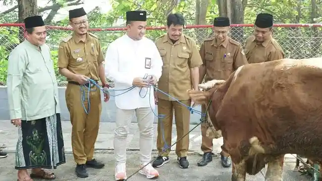 Hari Raya Idul Adha Jadi Momentum Memperkuat Nilai Kepedulian dan Semangat Berbagi
