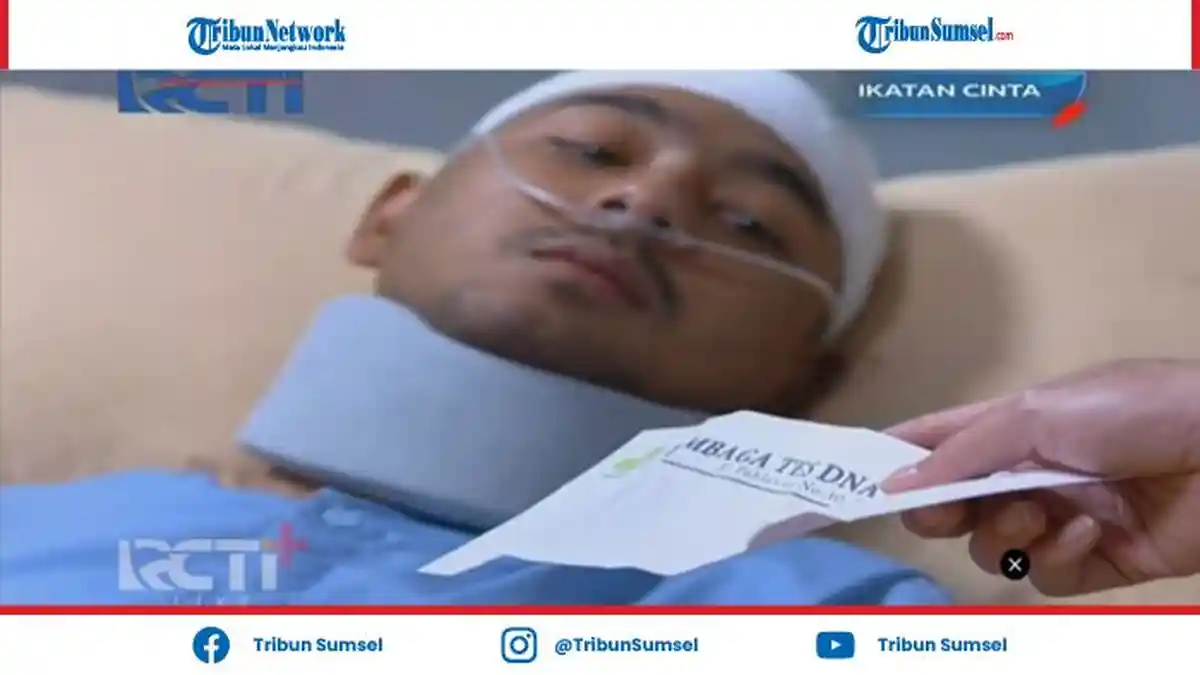 Ikatan Cinta 3 Mei 2021: Nino Datangi Al Kembalikan Surat Hasil Tes DNA, Berhasilkah Erlangga Cegah?