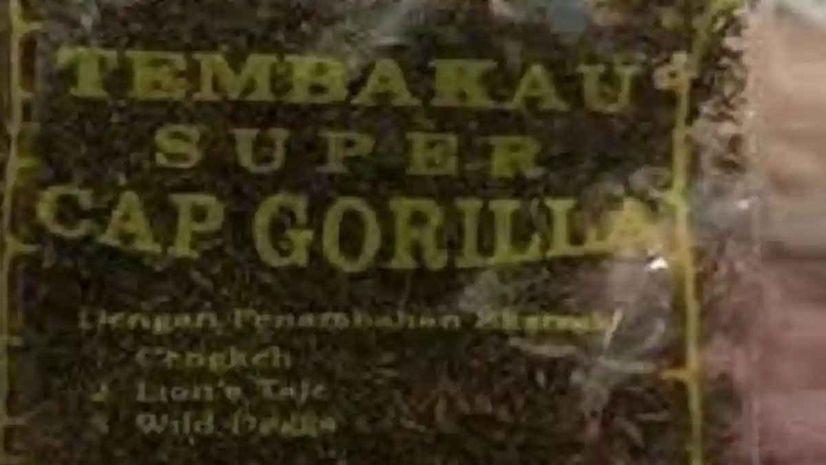 Inilah Efek Mengerikan Tembakau Gorila, Dari Merasa Super Hingga Ketiban Gorila