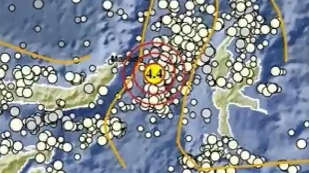 Gempa Terkini di Bitung Sulut Senin 29 Juni 2026, Info BMKG Magnitudo 4,4 Berpusat di Laut - Tribunmanado.co.id