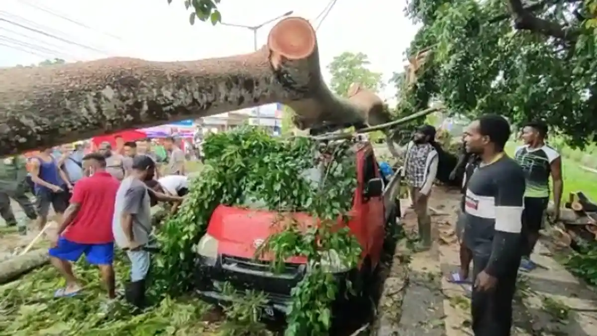 Cuaca Ekstrem di Sorong Tumbangkan Pohon, 4 Kendaraan Rusak