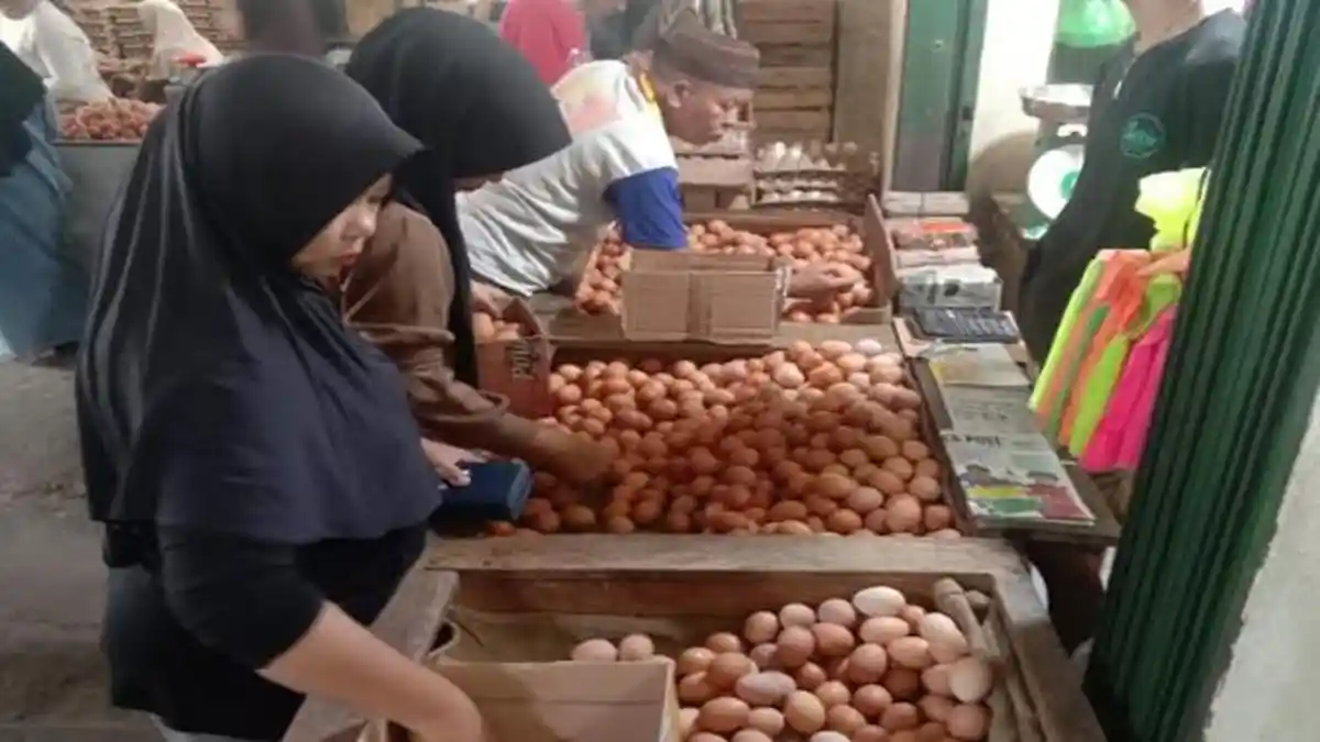 Harga Telur Ayam Ras Di OKU Rp 26 Ribu Perkilo, Turun Setelah Lebaran