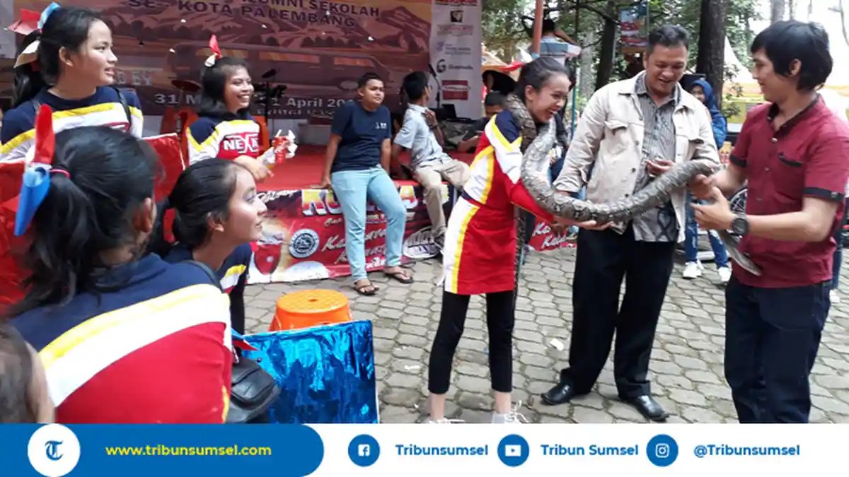 Ini Cara Menghadapi Ular Jika Masuk ke Rumah