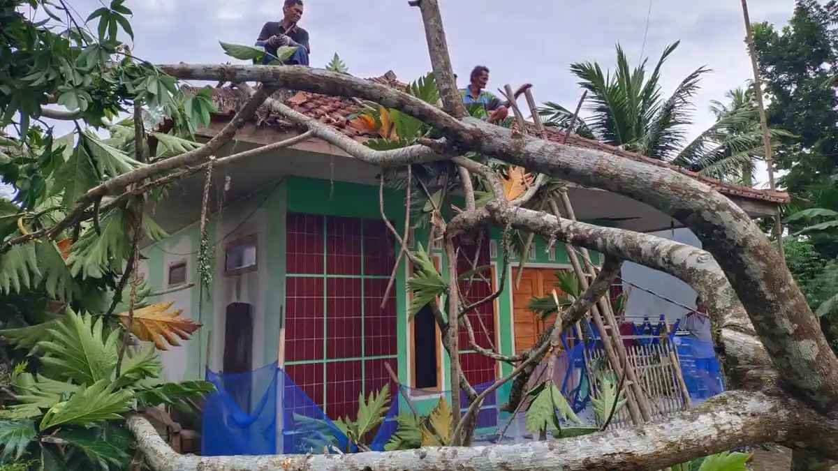50 Rumah Rusak Akibat Cuaca Buruk di Ciamis, Data Tagana Selama Tiga Hari