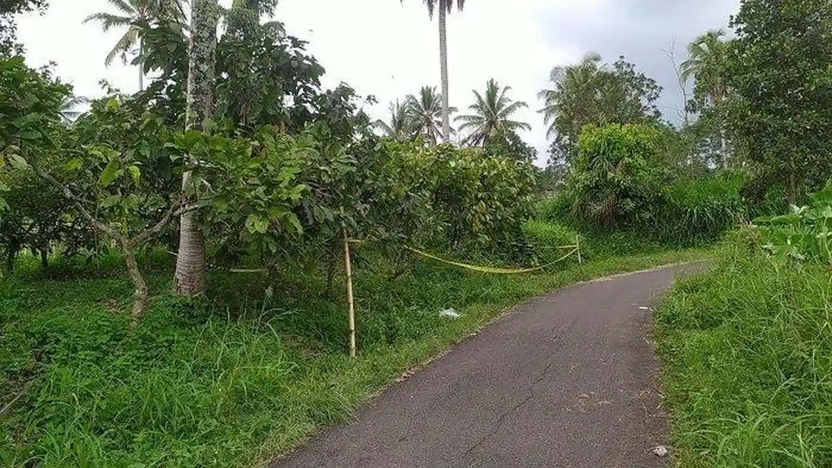 Soal Pembunuhan Gadis 16 Tahun di Tanah Datar, Ada Ancaman di Status WhatsApp