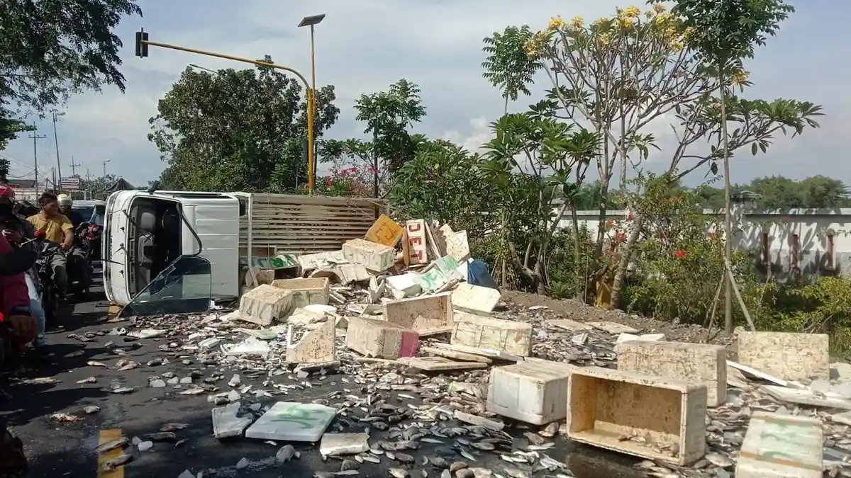 Hindari Truk Ngeblong, Pick Up Muatan Ikan Terguling di Bojonegoro