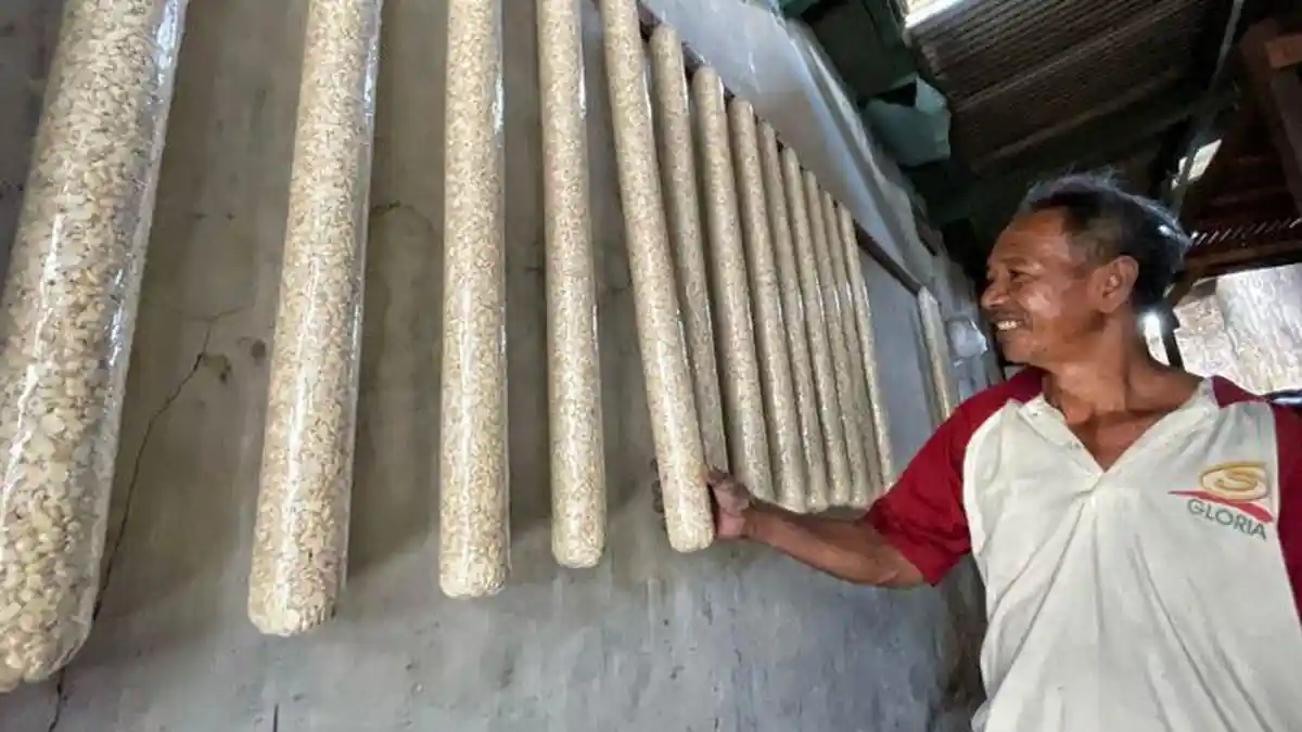 Harga Kedelai Melonjak, Produsen Tempe di Malang Akali dengan Perkecil Ukuran