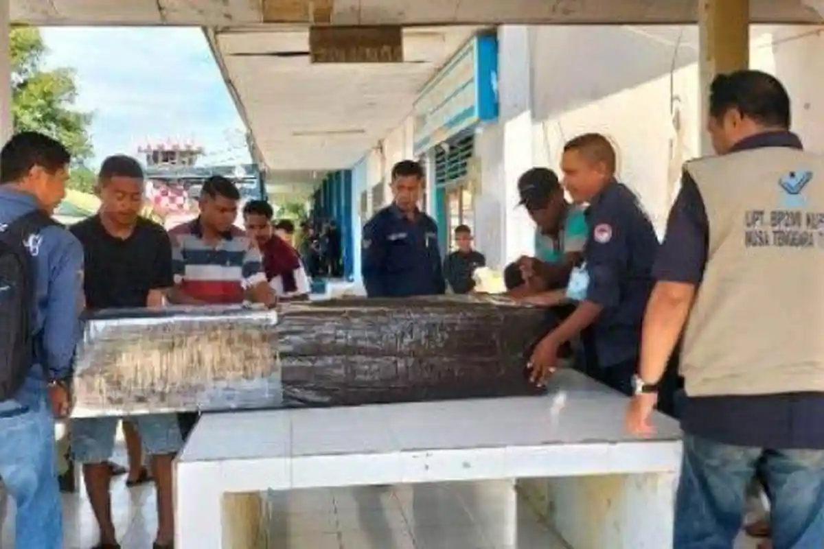 BREAKING NEWS: BP3MI NTT Terima 123 Jenazah PMI Non-Prosedural di Tahun 2024