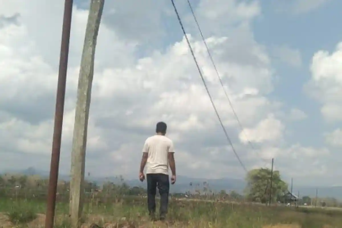 Ide Program Listrik Masuk Sawah Suwardi - Selle Terwujud di Marioriawa, Petani Bakal Untung Besar