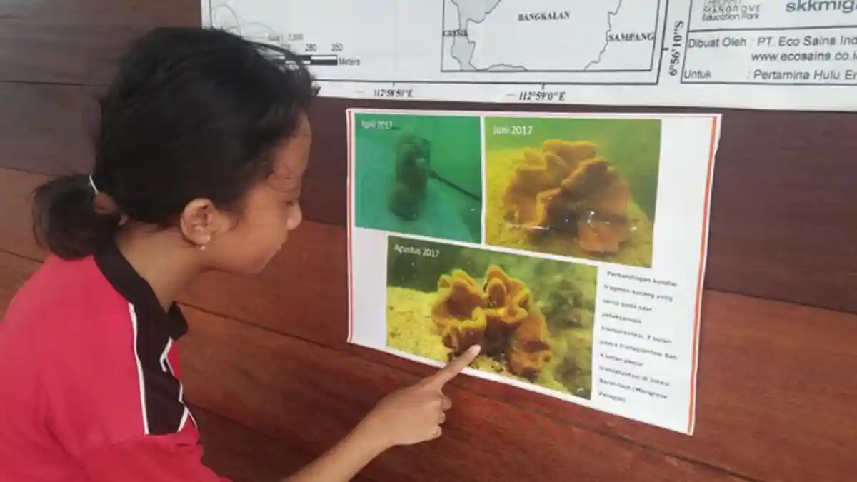 PHE WMO Konservasi Terumbu Karang di Bangkalan, Kini Hasilnya Mulai Terlihat