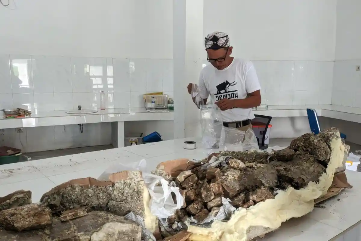 Berkenalan dengan Fosil Gajah Elphas di Situs Patiayam Kudus, Lebih Muda dari Stegodon