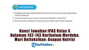 Kunci-Jawaban-IPAS-Kelas-5-Halaman-142-143-Kurikulum-Merdeka-Mari-Refleksikan-Asupan-Nutrisi.jpg