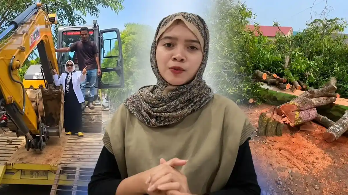 Alumni SMA Negeri 1 Simpang Ulim Ikut Buka Suara soal Pohon Ditebang ...