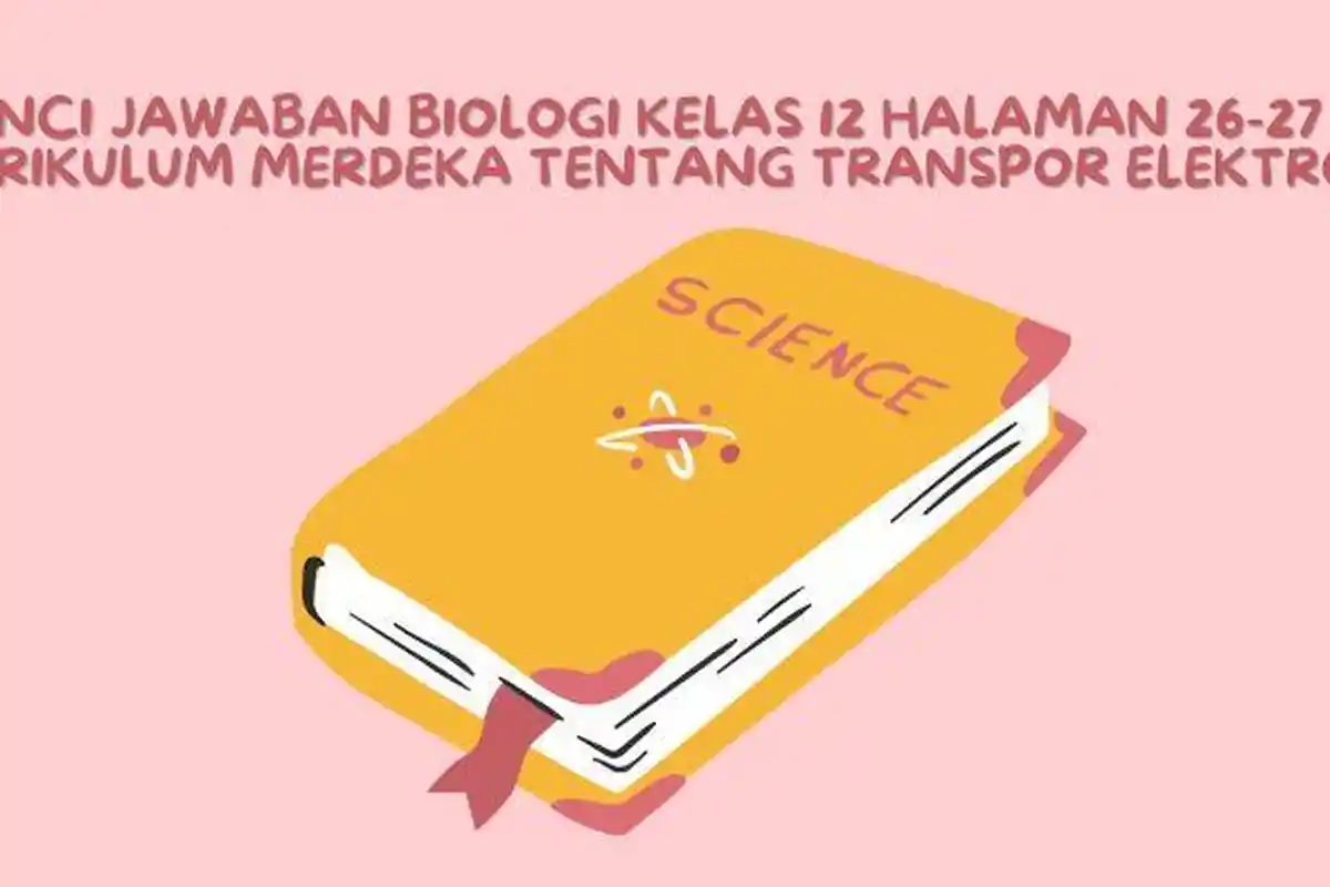 Kunci Jawaban Biologi Kelas 12 Halaman 26-27 Kurikulum Merdeka tentang Transpor elektron