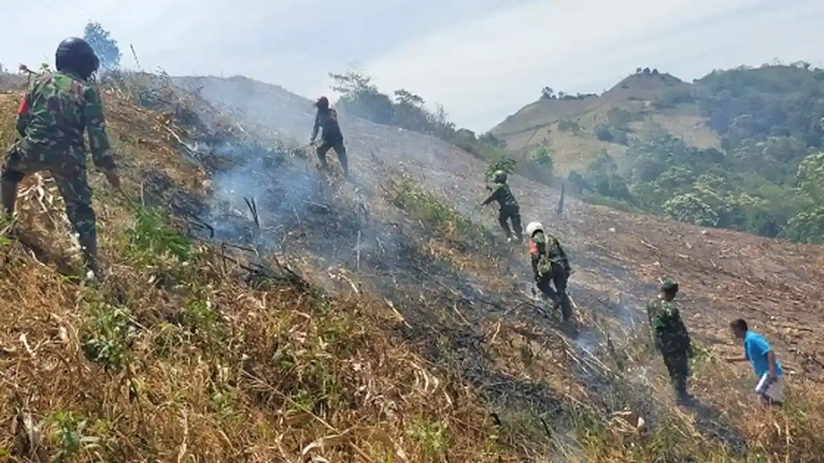 Cegah Karhutla, Dandim Agara Letkol Robbi Firdaus Bersama Personel TNI dan Warga Leuser Padamkan Api