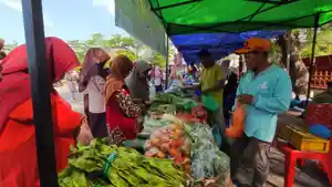 Harga-Sayuran-di-Tanjungpinang-6777.jpg
