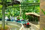 Jam-Operasional-Aviary-Park-Indonesia.jpg