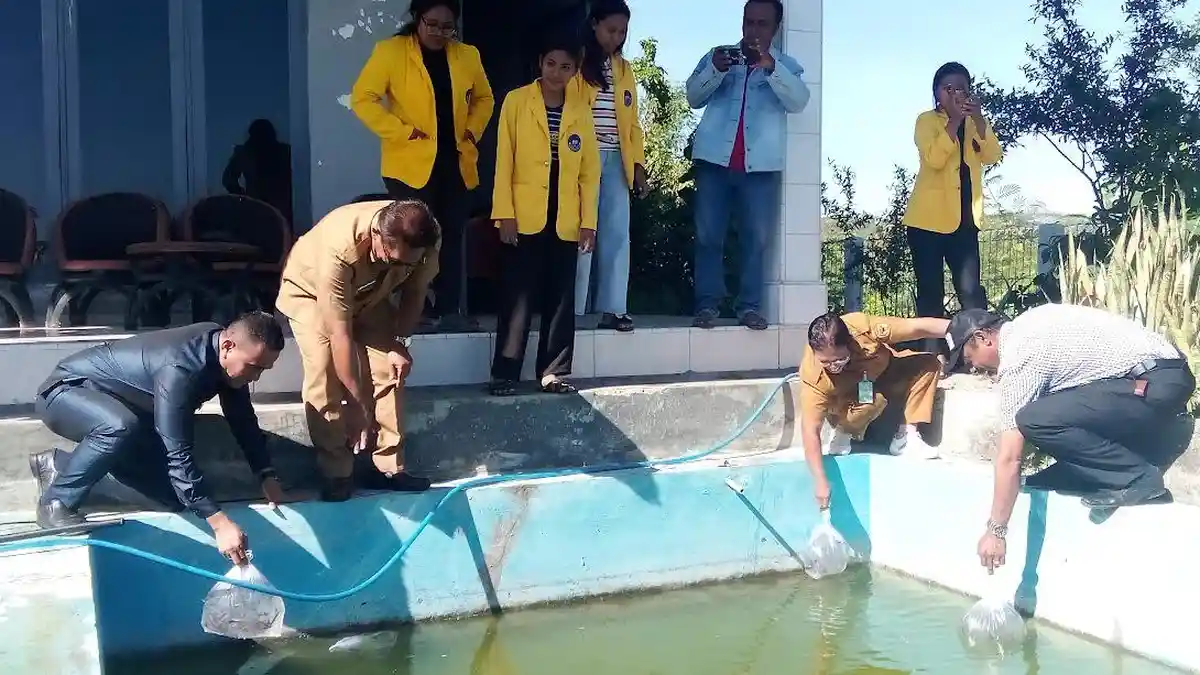 Rektor UKWA Kupang Lepas 6000 Bibit Ikan Lele di Sabu Raijua