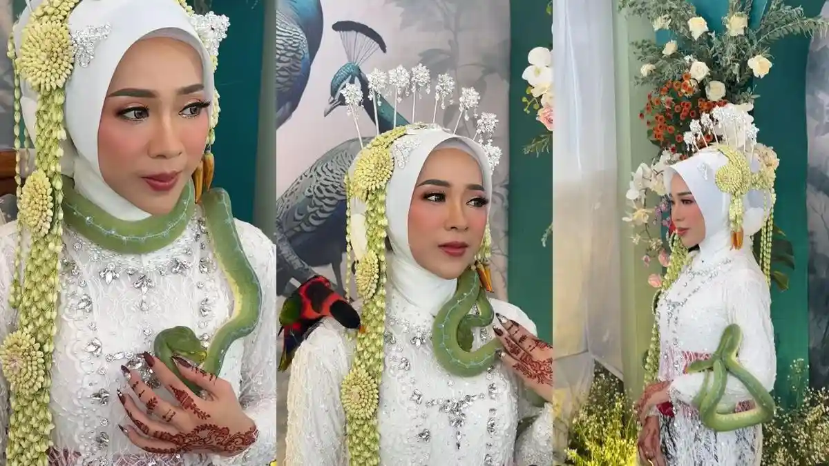 Viral Pengantin Bawa Ular saat Akad Nikah, Ngaku Buat Seru-seruan hingga Iseng, Tamu Undangan Kaget