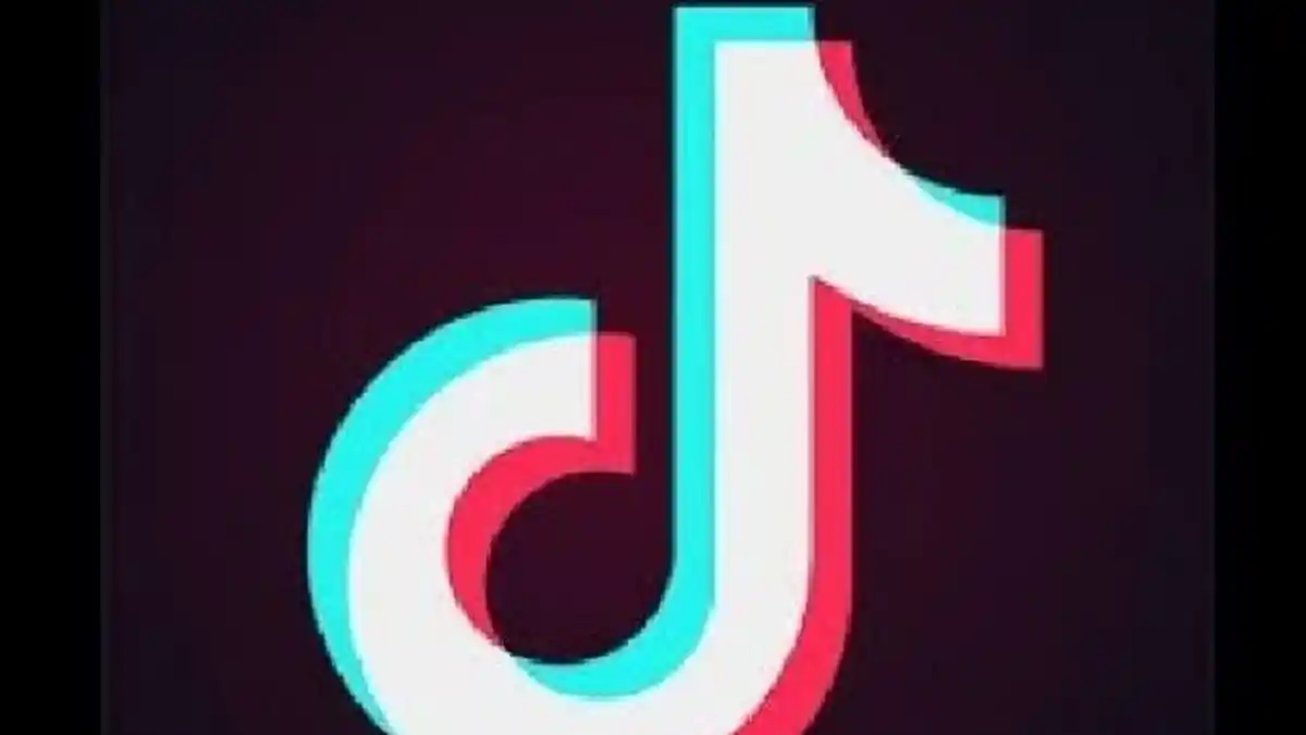 Inilah Pembuat Video Tik Tok yang Dianggap Terbaik di Dunia