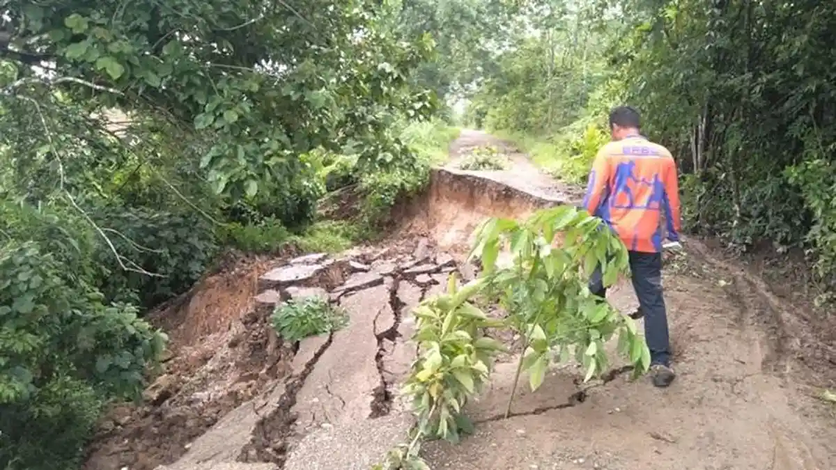 Jalan Putus di Tapin Kalsel Ditandai Rambu Darurat Ranting Pohon 
