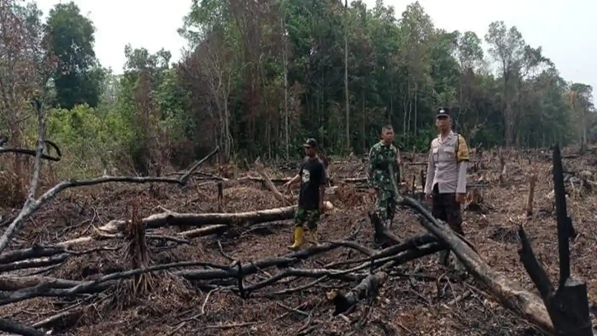 Terpantau 1 Titik Api di PALI, Bersumber dari Pembukaan Lahan Masyarakat dengan Cara Dibakar