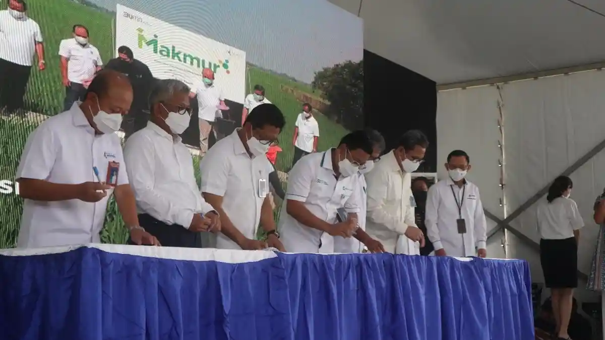 Tujuh BUMN Kerja Sama dalam Program Makmur untuk Lindungi Petani dari Ancaman Gagal Panen