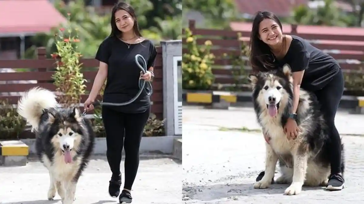 Suka Pelihara Hewan dari Kecil, Saat ini Jeje punya 4 Anjing