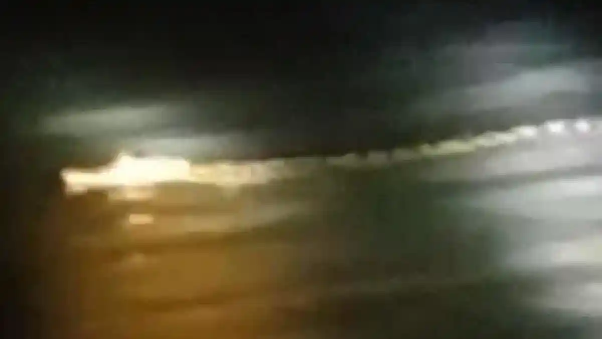 Geger Buaya Putih Muncul ke Permukaan Sungai Brantas Kediri, Panjangnya Sekira 2 Meter