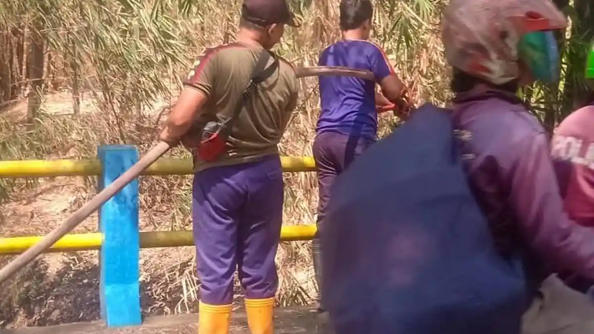 Diduga Akibat Percikan Kabel Listrik Putus, Lahan Kosong Hangus Terbakar di Desa Wonosekar Demak