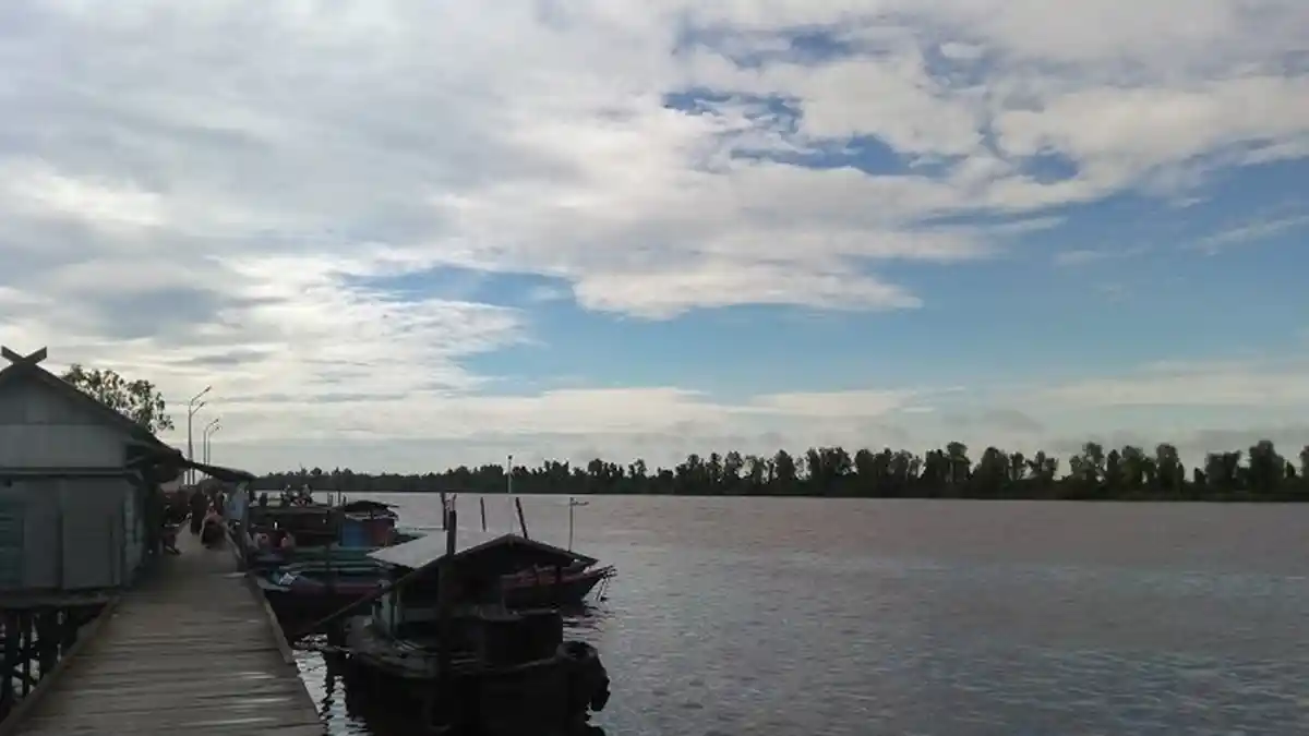 Buaya Sungai Mentaya Makin Ganas, Warga Sangat Resah
