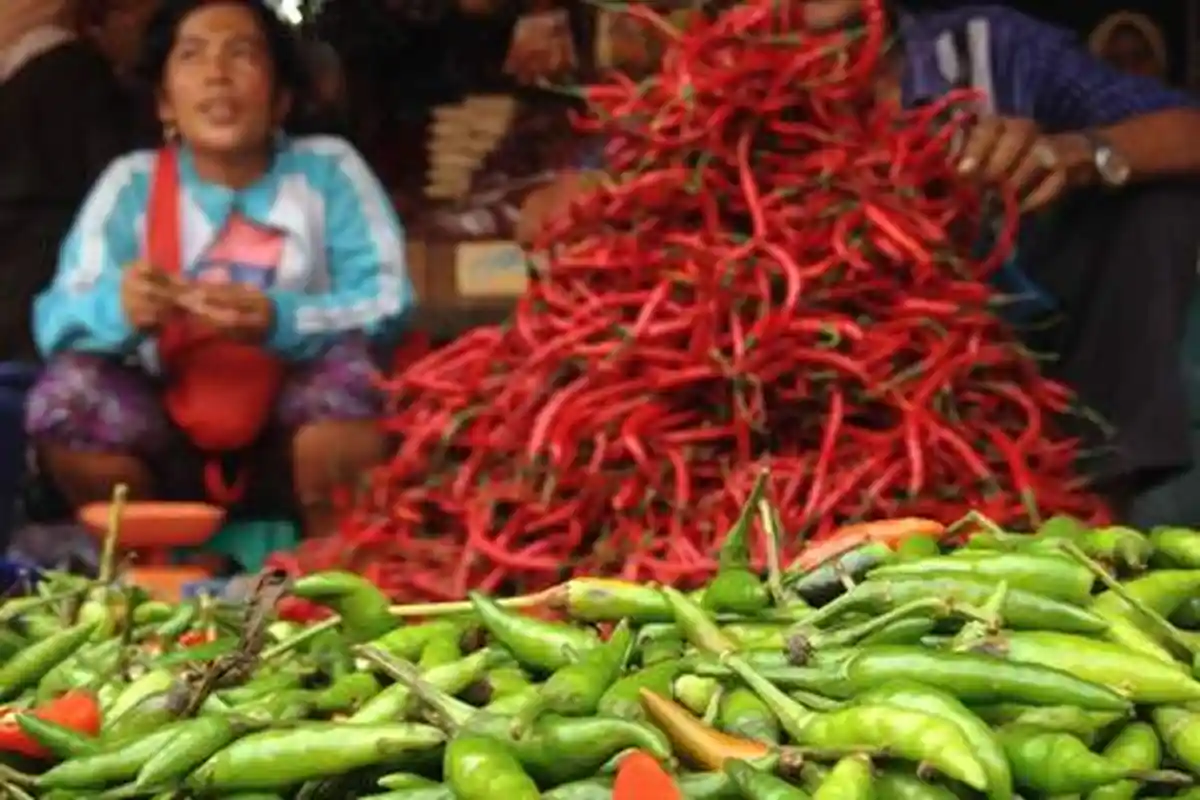 Update Harga Sembako di Jambi Hari Ini (10/11/2020), Cabai Rawit Turun Harga