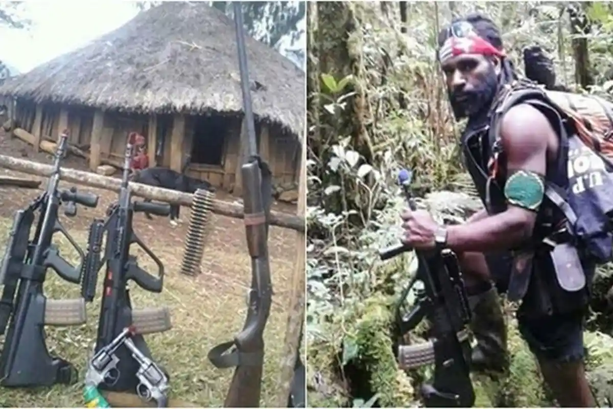 KKB Papua Diam-diam Selundupkan Senjata dari Negara Tetangga, Rutenya Lewat Maluku dan Sorong
