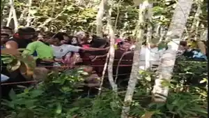 Fakta-Baru-Bocah-12-Tahun-di-Kebun-Karet-Sungutan-OKI-Selain-Motor-HP-juga-Raib-Wajah-Luka-Sayat.jpg